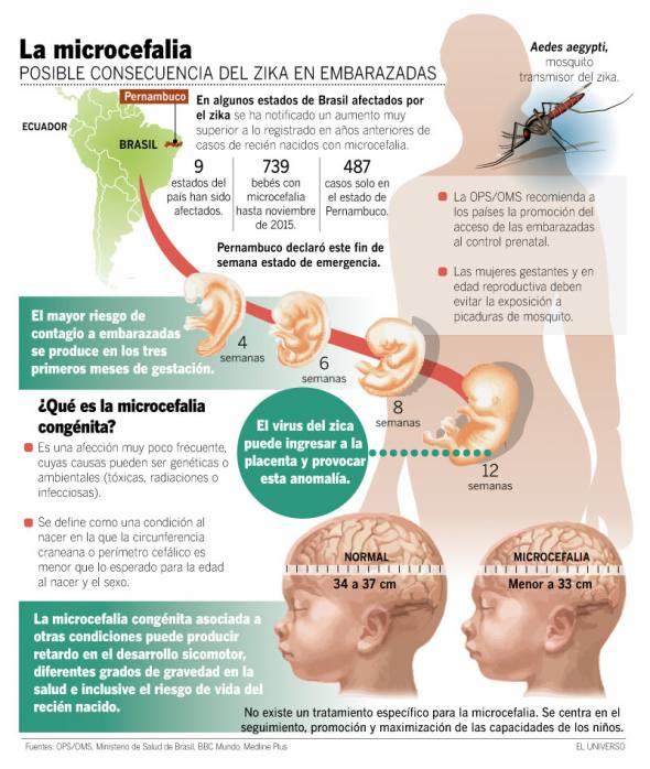 Evaluar N A Embarazadas Por El Zika Mujer