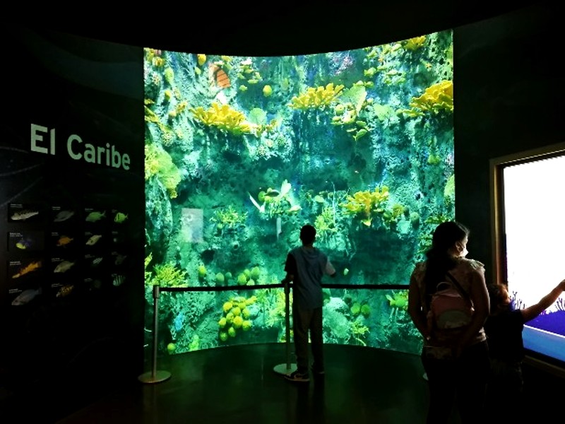 Acuario del Caribe en la exhibición 