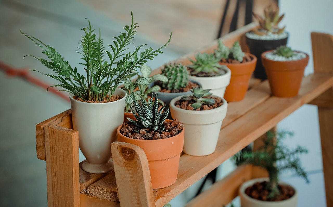 Como hacer maceteros de cemento, para plantas grandes o frutales